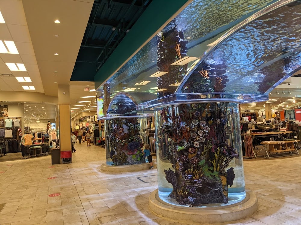 Scheels profile image for Clothing Stores in Colorado Springs, CO